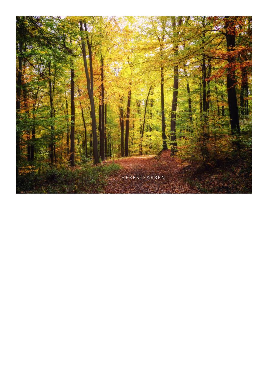 Grünkohlessen bei Wolle!